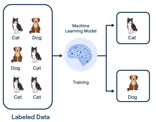 Supervised Machine Learning